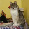 Отзыв от Вероника Рябинина